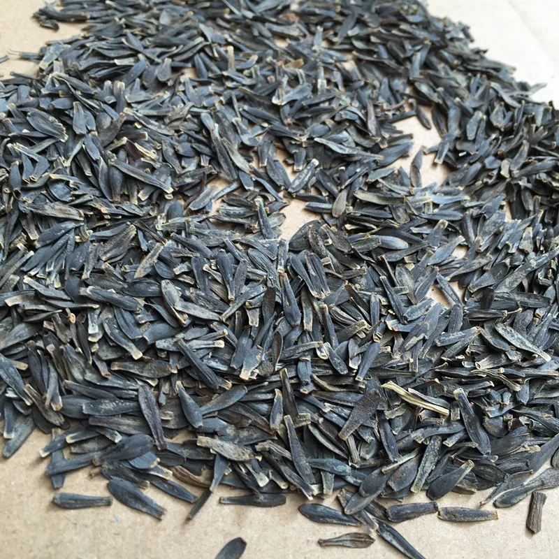 Top Quality Flower Seed Dwarf Dahlia Seeds For Sale