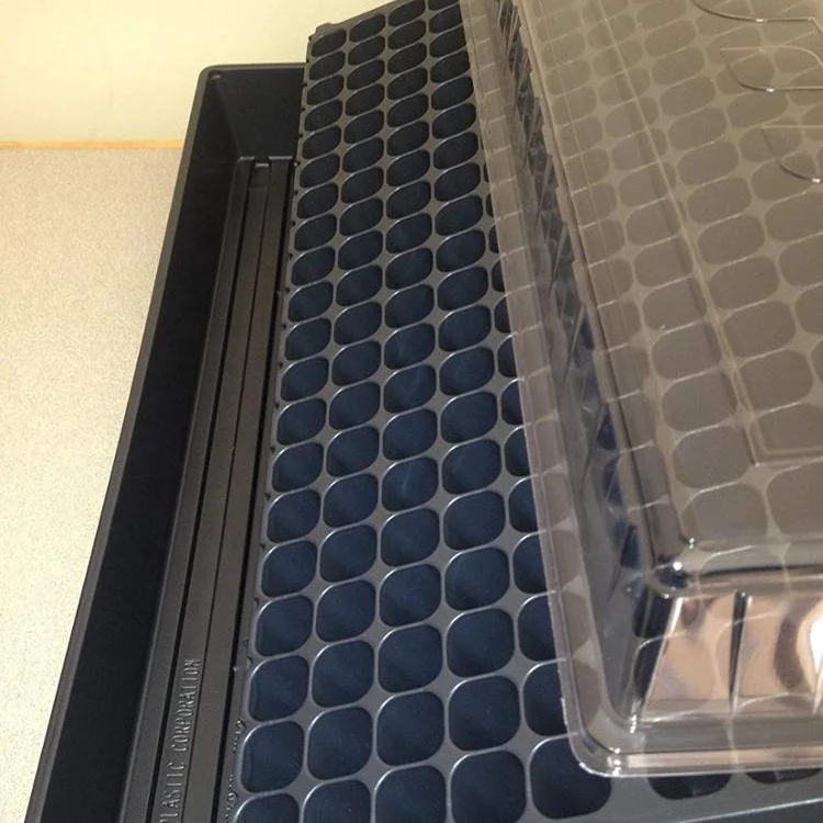 Стартовый набор для семян лотки 200 клеток с купольными крышками