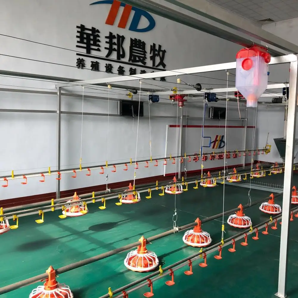
huabang series automatic chicken poultry farm equipment for broiler chicken house 
