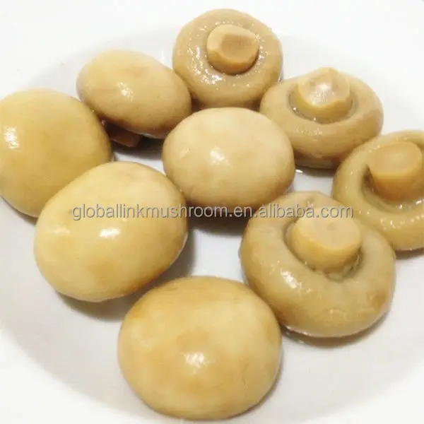 
canned mushroom whole champignon mushroom 