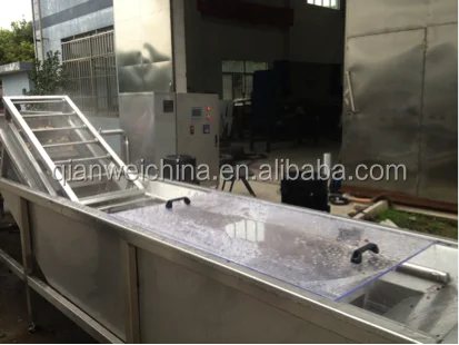 pickled gherkins cucumber production processing line machine