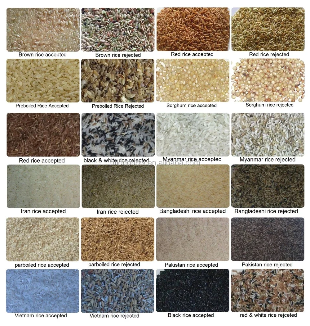 sorting applications rice