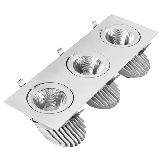 
Rectangular LED Downlight Gimbal Double heads COB down lamp 2*30W with high quality 