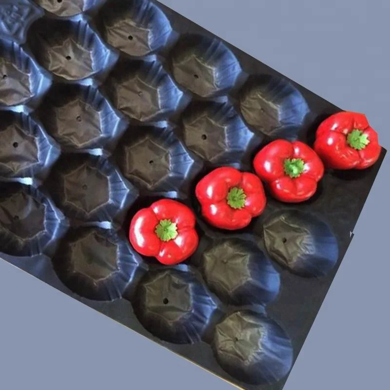 Certificated PP Plastic Material 15lb beef Tomato Tray Liner