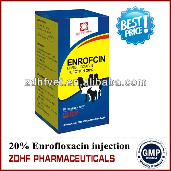 
supply antibiotic medicine Florfenicol Injection 10% for chicken Diarrhea 