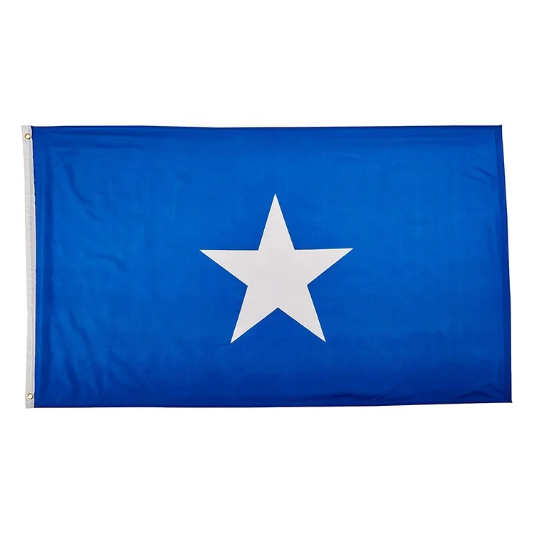 wholesale factory price 3x5 custom banner somali flag
