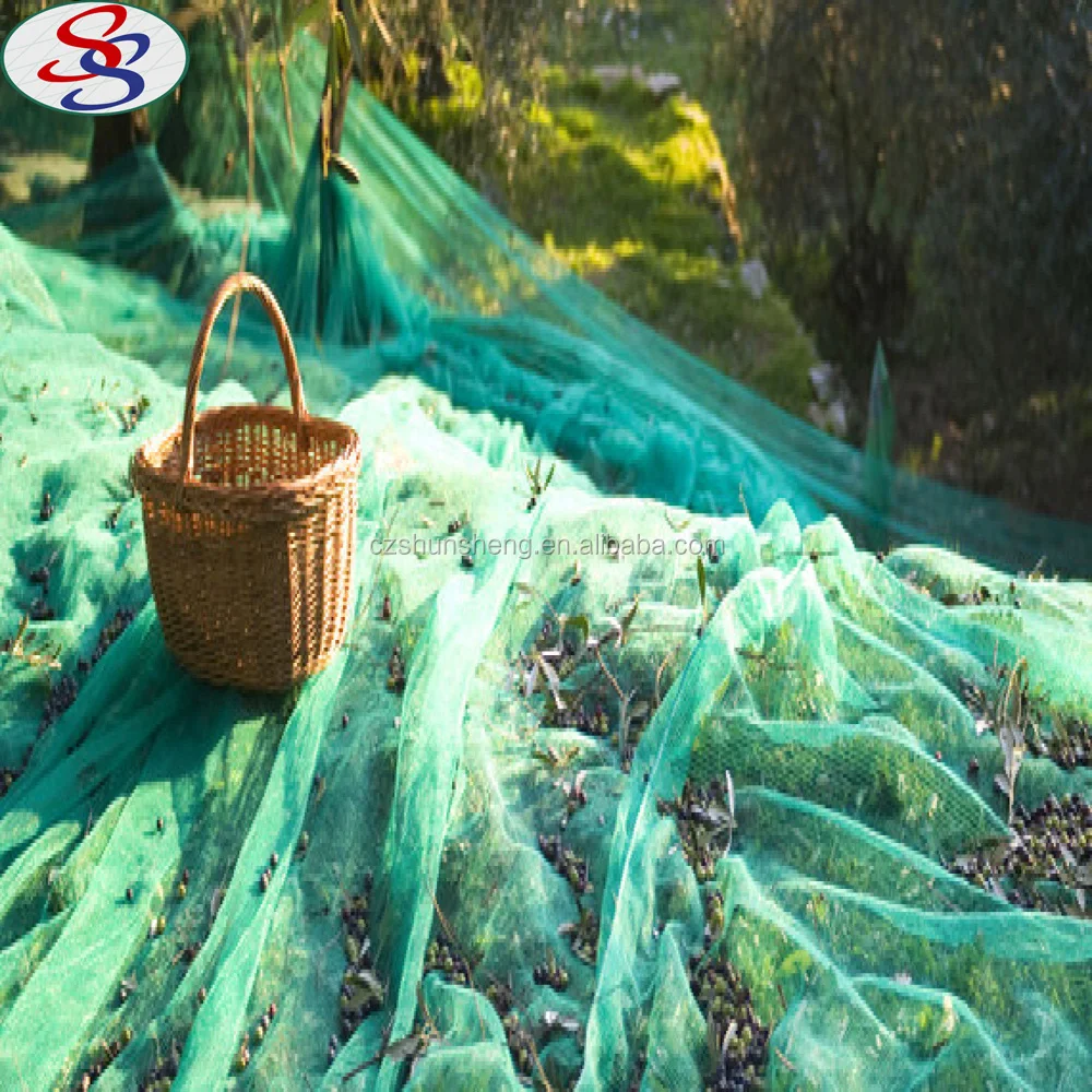 wholesale olive tree collect harvest net
