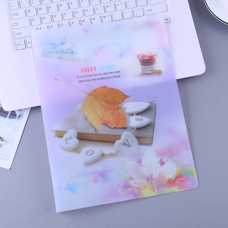 Fashion and cute a4 pp hard cover mechanism file folder