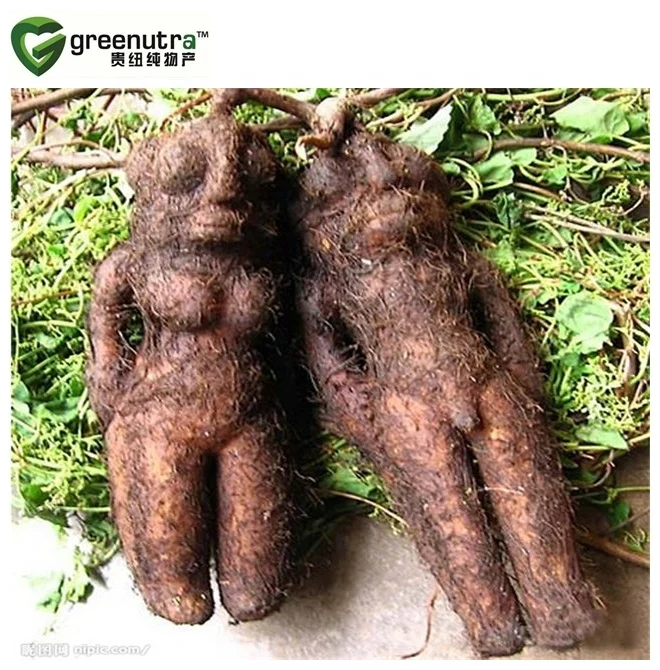 Tuber Fleeceflower Root Extract