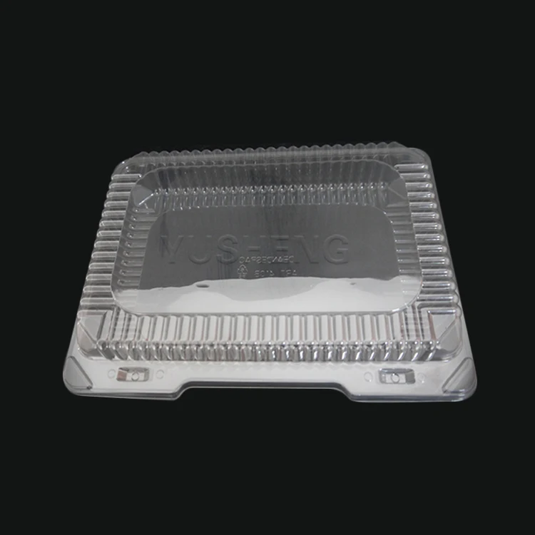 Rectangle Disposable plastic restaurant airtight disposable plastic food container