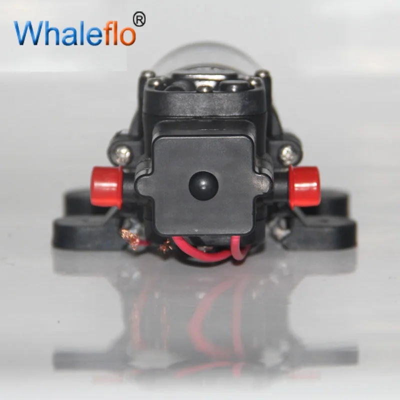 Whaleflo upgrade  FLO-2202 4.3LPM 35psi RV self priming marine car washer electric diaphragm pumps mini 12v dc water pump