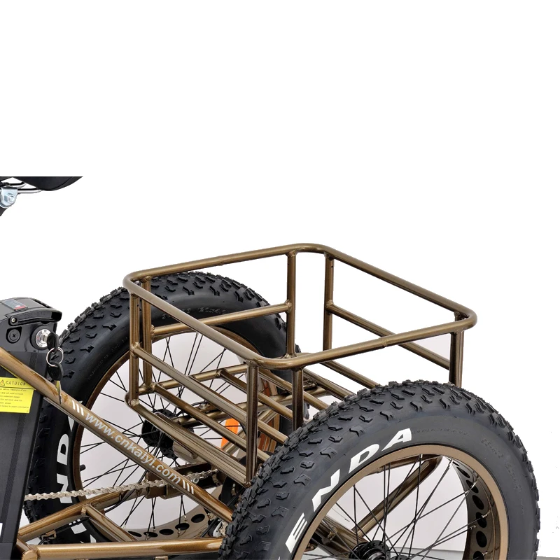 250W XOFO Motor Front Drive 3 Big Wheel Electric Bike