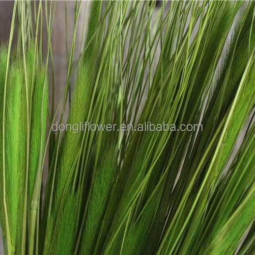 Dried natural Chinese pennisetum grass cat tail wolf tail feather grass, home decoration, floral arrangement