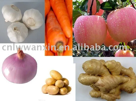 
sell chinese fresh vegetable and fruits 