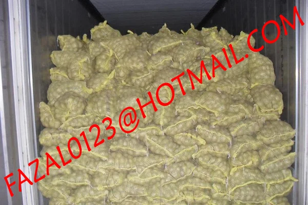 
BANGLADESHI HIGH QUALITY FRESH GRANOLA POTATO AND DIAMOND POTATO FROM EXPORT TRADE ASSOCIATE WITH CHEAP PRICE 