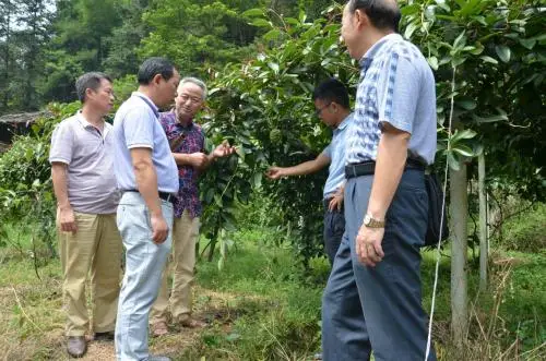 
Organic Fertilizer, Sodium Humate, Base & Foliar Fertilizer 