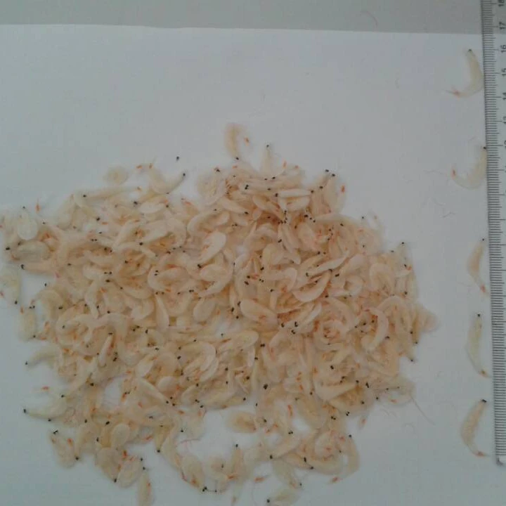 Высушенные Детские креветки в Корею