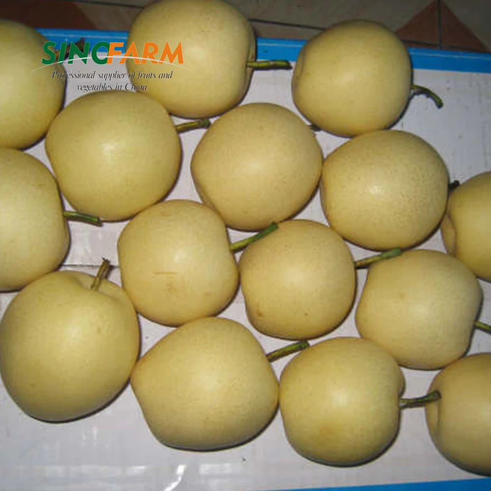 New crop nashi fragrant pear for european marktet