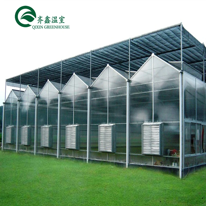 Aquaponic Tomato Galvanized Steel Pipe For Prefabricated PcTent Greenhouse