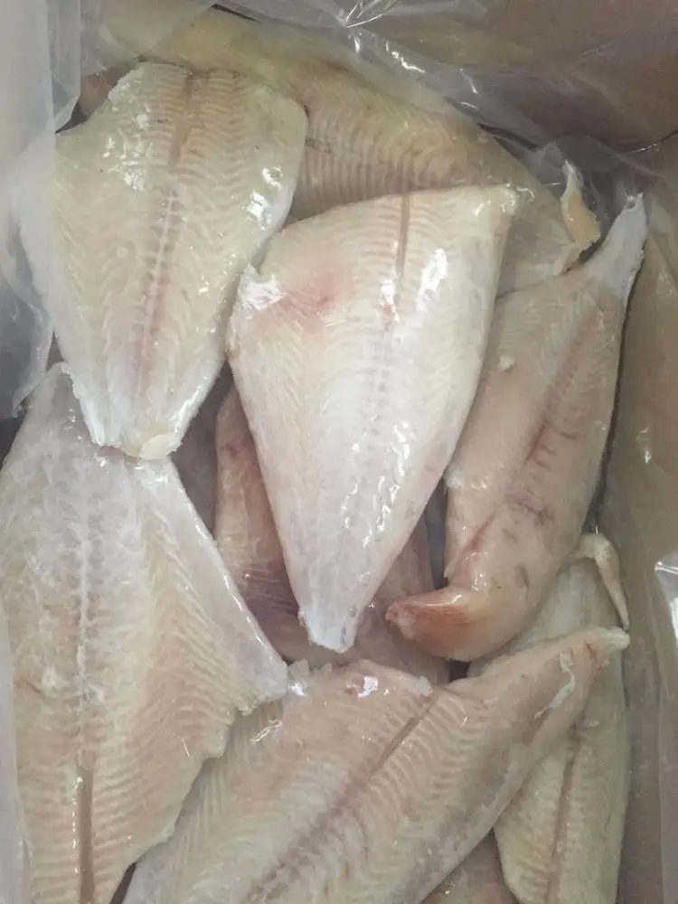 Frozen Brama brama fillet boneless (atlantic pomfret)