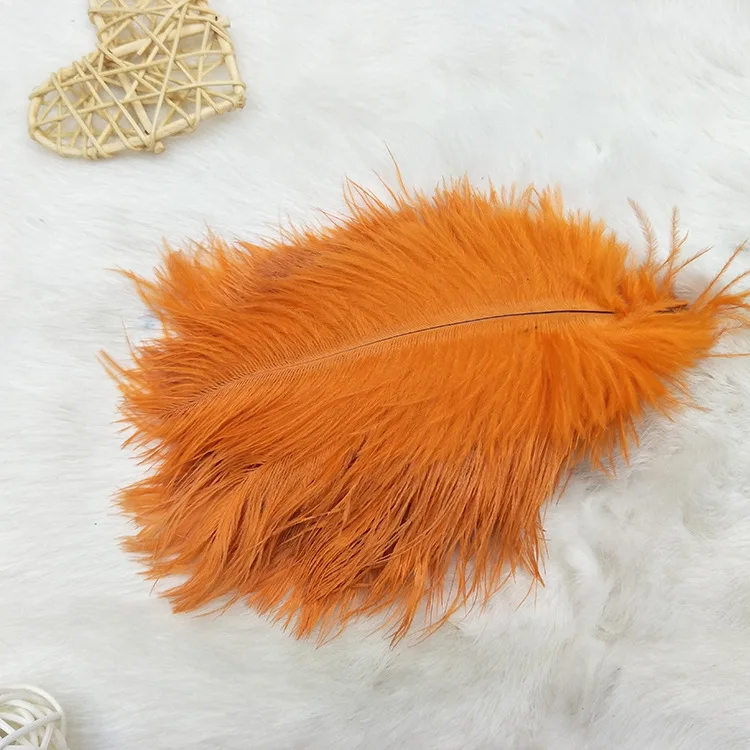 20-25CM Natural Dyeable Ostrich Feather Mulity Color Feather For Dress