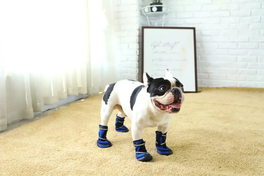 Petstar Pet Products Factory Pet Apparel Pet Waterproof Dog Shoes