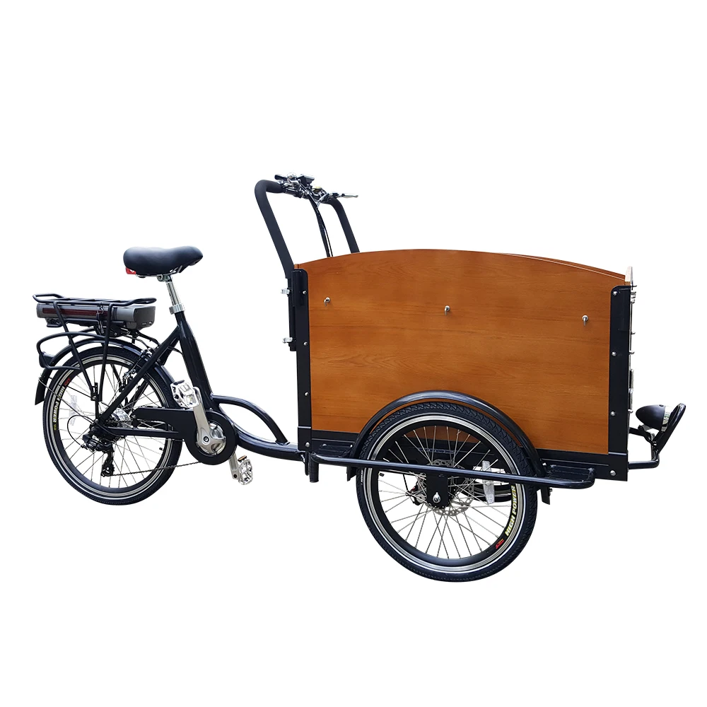 No Import Duty ZZMERCK 250w Pedal Assist Electric Tricyle Cheap Cargo Trike for Sale