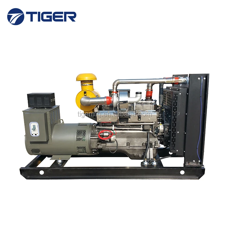 10kw to 1000kw good price durable thunder diesel generator