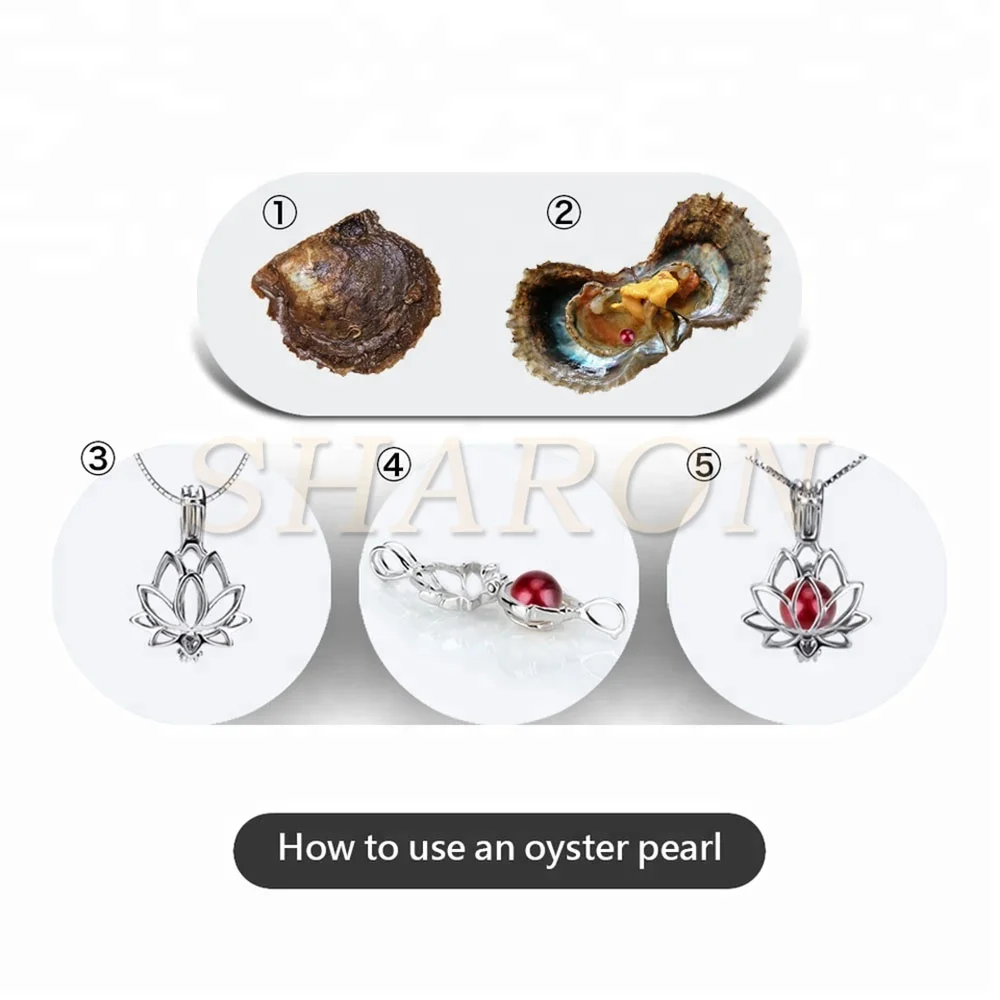 Christmas AAA Jewelry 6-7mm Akoya Oysters with Round Red Wine Natural Cultured Pearls