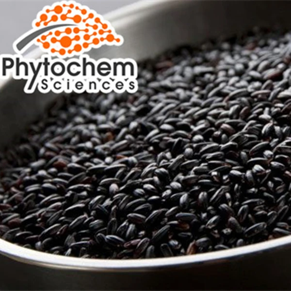 
Trade assurance wholesale black cumin seed oil mason jar packed nigella sativa oil 