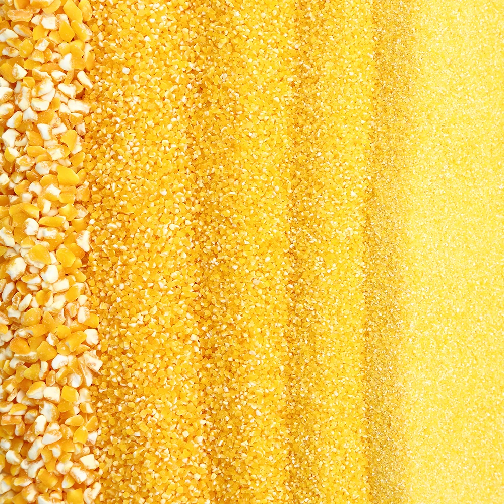 5 ton per day diesel small scale corn maize milling machine