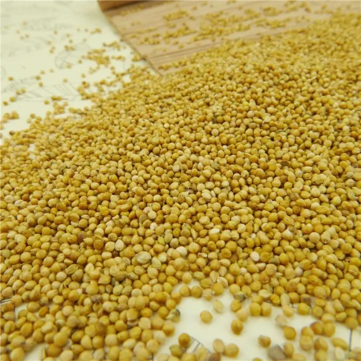South africa wholesale cheap dried organic pearl millet price