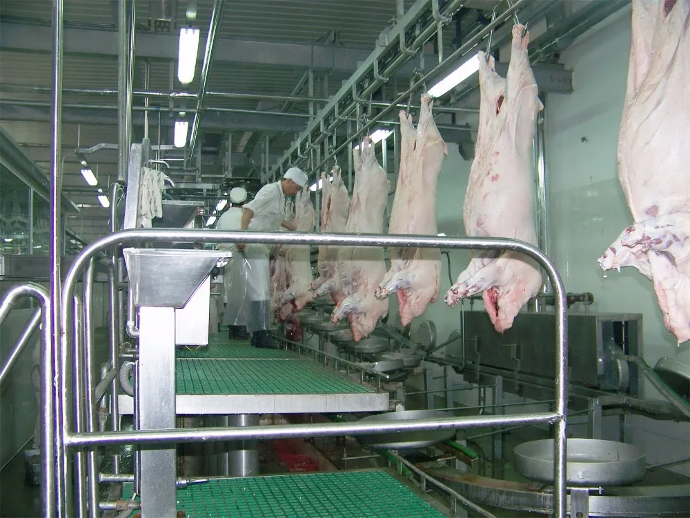 10heads~500heads/hour Complete Pig Slaughtering Line