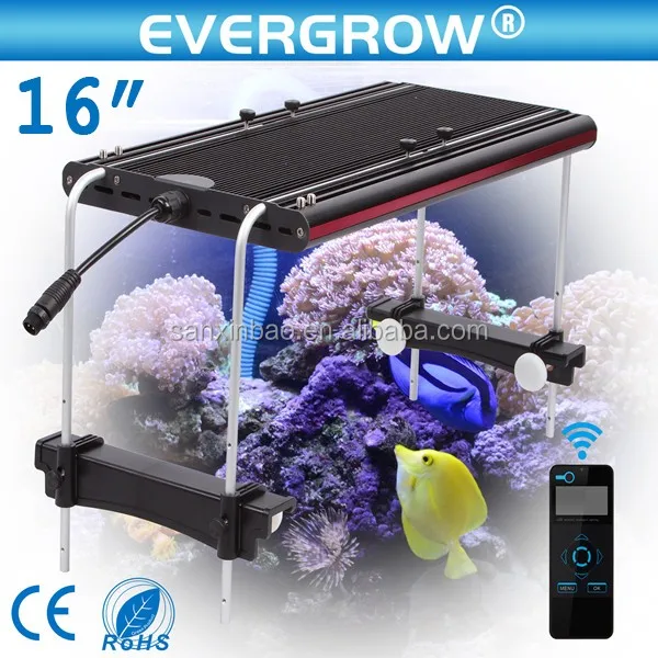 EverGrow Hot Sale 240W Coral Reef Marine Aquarium LED Lighting With WIFI/Wire Controller