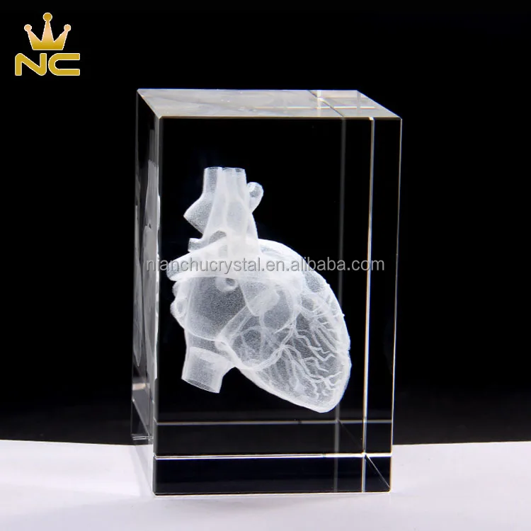 Heart Anatomy Model Design Cube Crystal 3D Laser Crystal Engraving With Detailed Visible Blood System