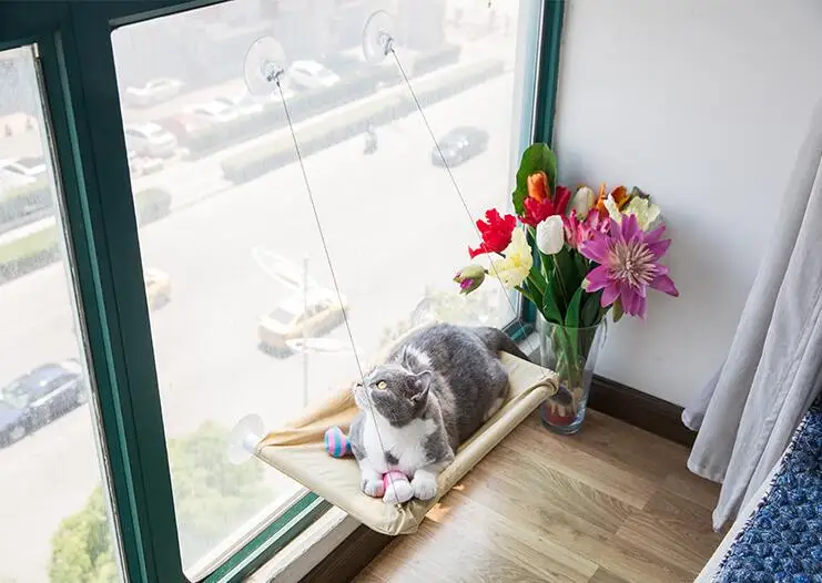 Seat Basking Hanging Shelf Window-Mounted Hammock Cat Bed with Strong Suction Cup Sunny Swing Durable Oxford
