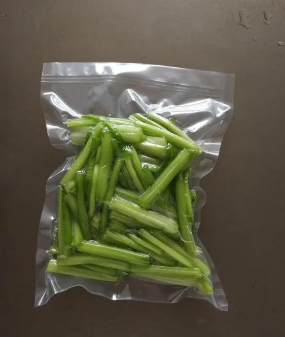 DZ-350/GS Floor Type Food mini Vacuum sealer Packaging Machine Small Vacuum Sealing Packing Machine China Fresh fruit