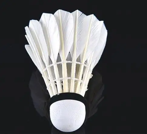 
Gym Training Badminton 