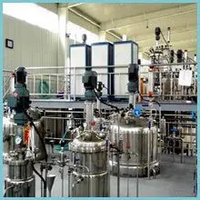 Cheap mushroom compost lowest price