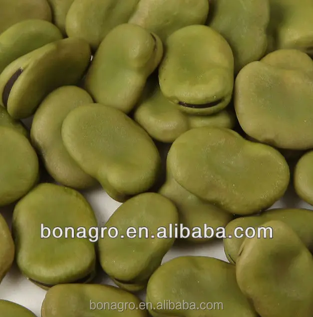 
Chinese dried green broad bean 