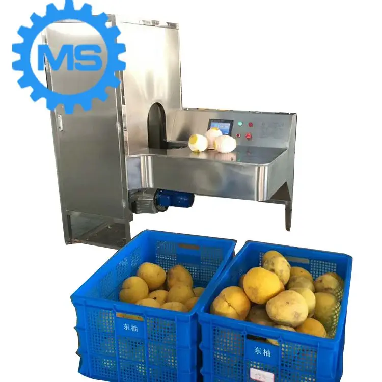 High Working Efficiency Coconut Peeler/ Pomegranate Peeling Machine