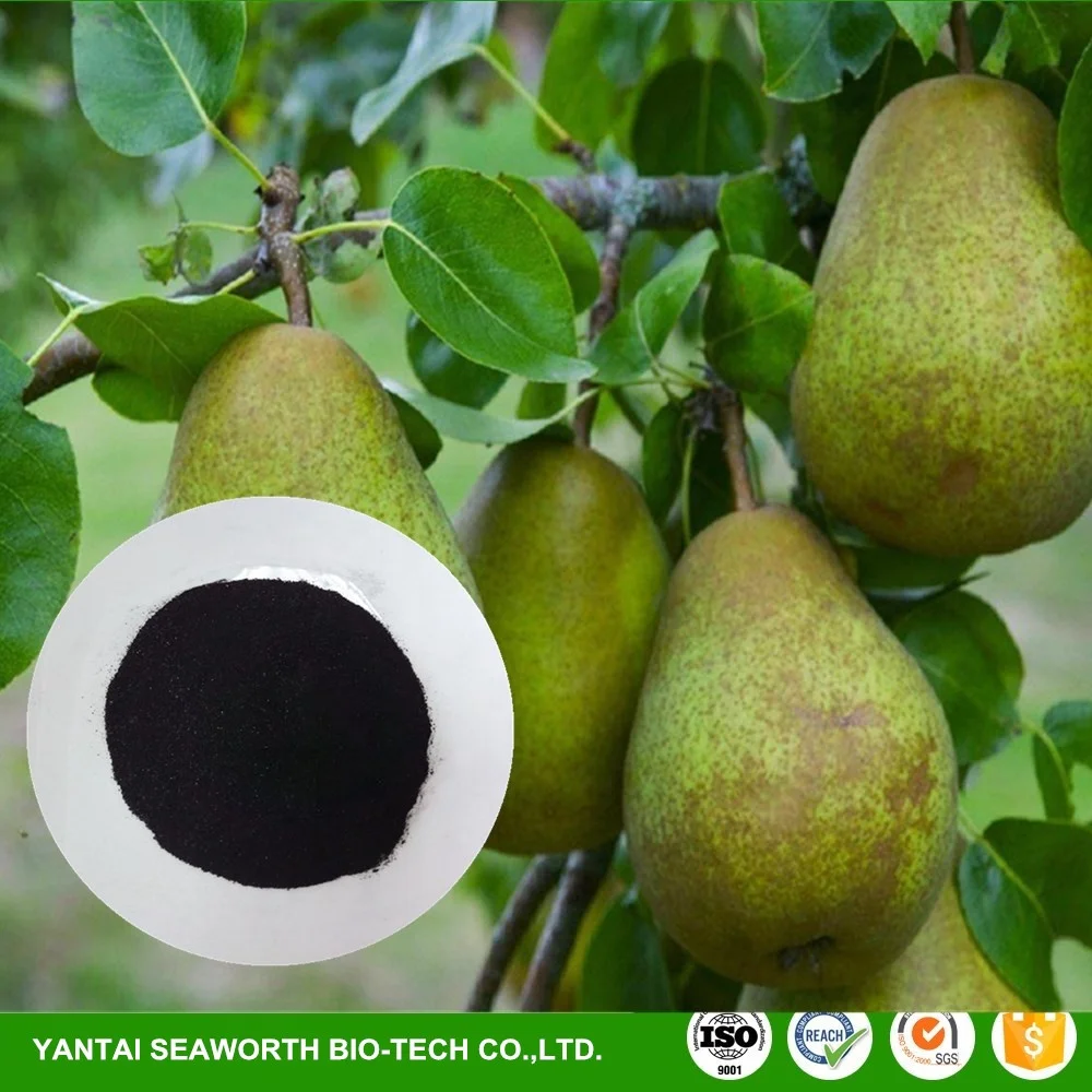 Super quality wholesale organic kelp fertilizer factory price