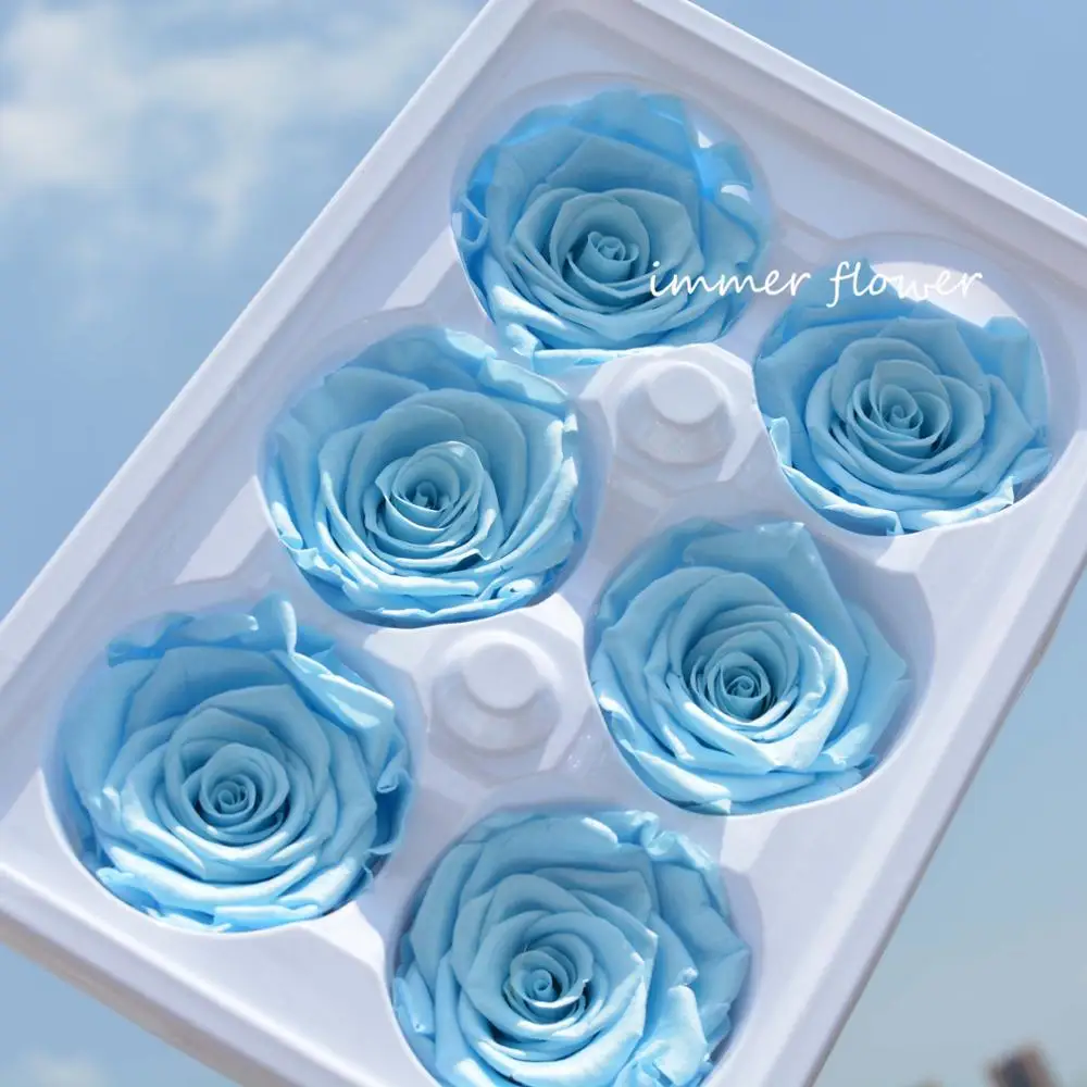 Real ecuador preserve rose fresh cut flower eternal rose from Yunnan Sennka