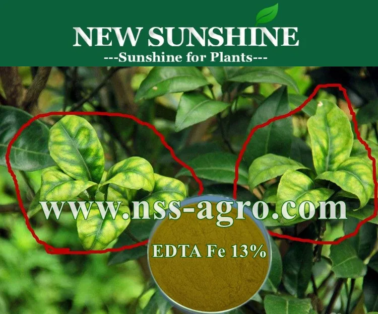 Water Soluble EDTA Fe 13% Powder Chelated Iron Fertilizer