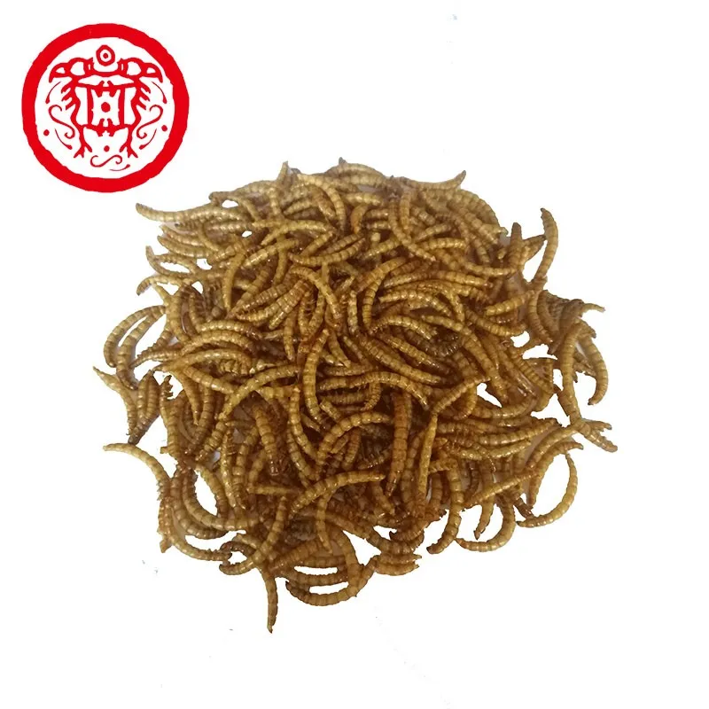 
Live Dried Mealworm Bird Food Pet Feed Additives 