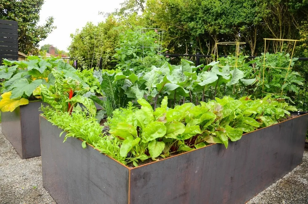 Decorative corten steel raised garden beds
