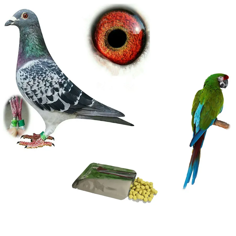 
Veterinary Nutrition Bird Vitamin and Pet for Flying 