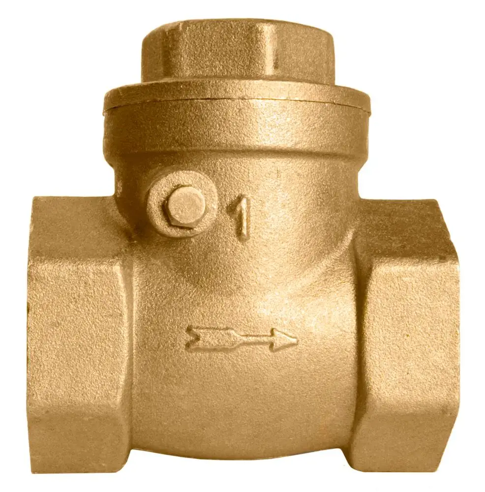 
Stainless Steel NPT Swing Check Valve One Way for Hydraulic Water Flow Control 