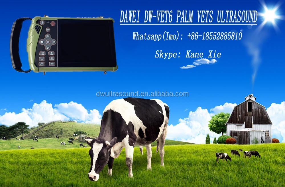 Palm new design DW-VET6 horse and cattle equipment, ultrasound pregnancy test for veterinary