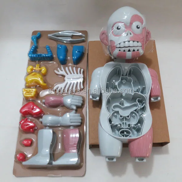 learning resource lab human body doctor play set human body parts